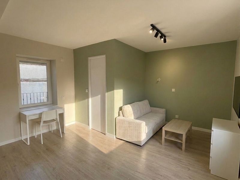 Pièce à vivre — coin bureau et canapé convertible — Logement 4 — Studio 20 m²